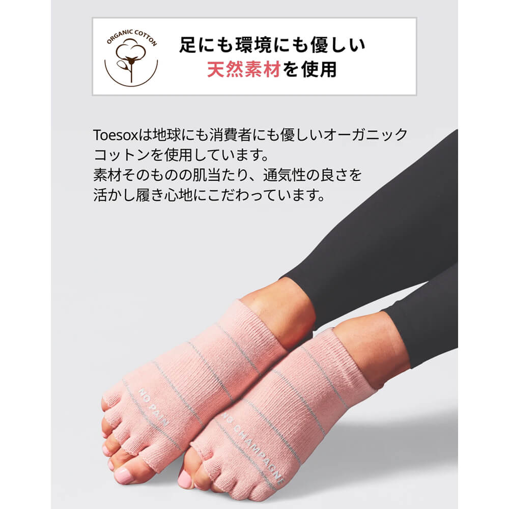 toesox 摜