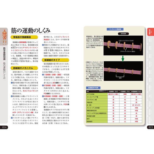 石井直方監修】筋肉のしくみ はたらき事典 小物雑貨その他 東京ヨガウェア